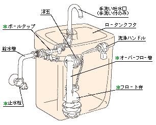 お手入れ画像